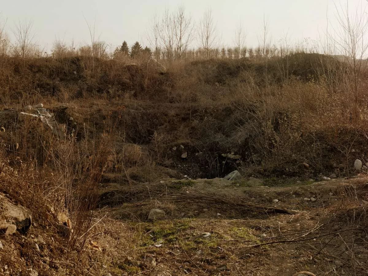 Beyond the Visible Landscape — immagine 16