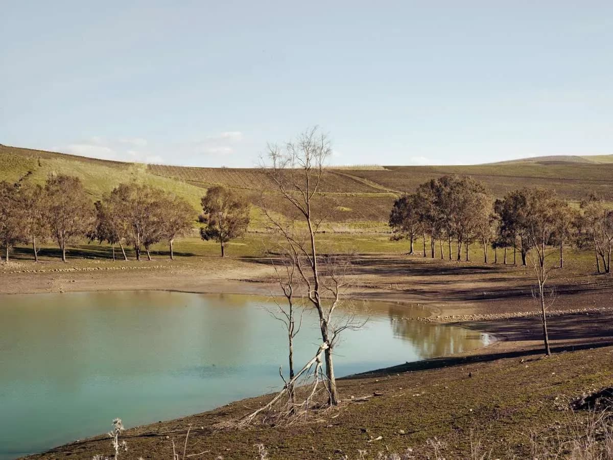 Beyond the Visible Landscape — immagine 9