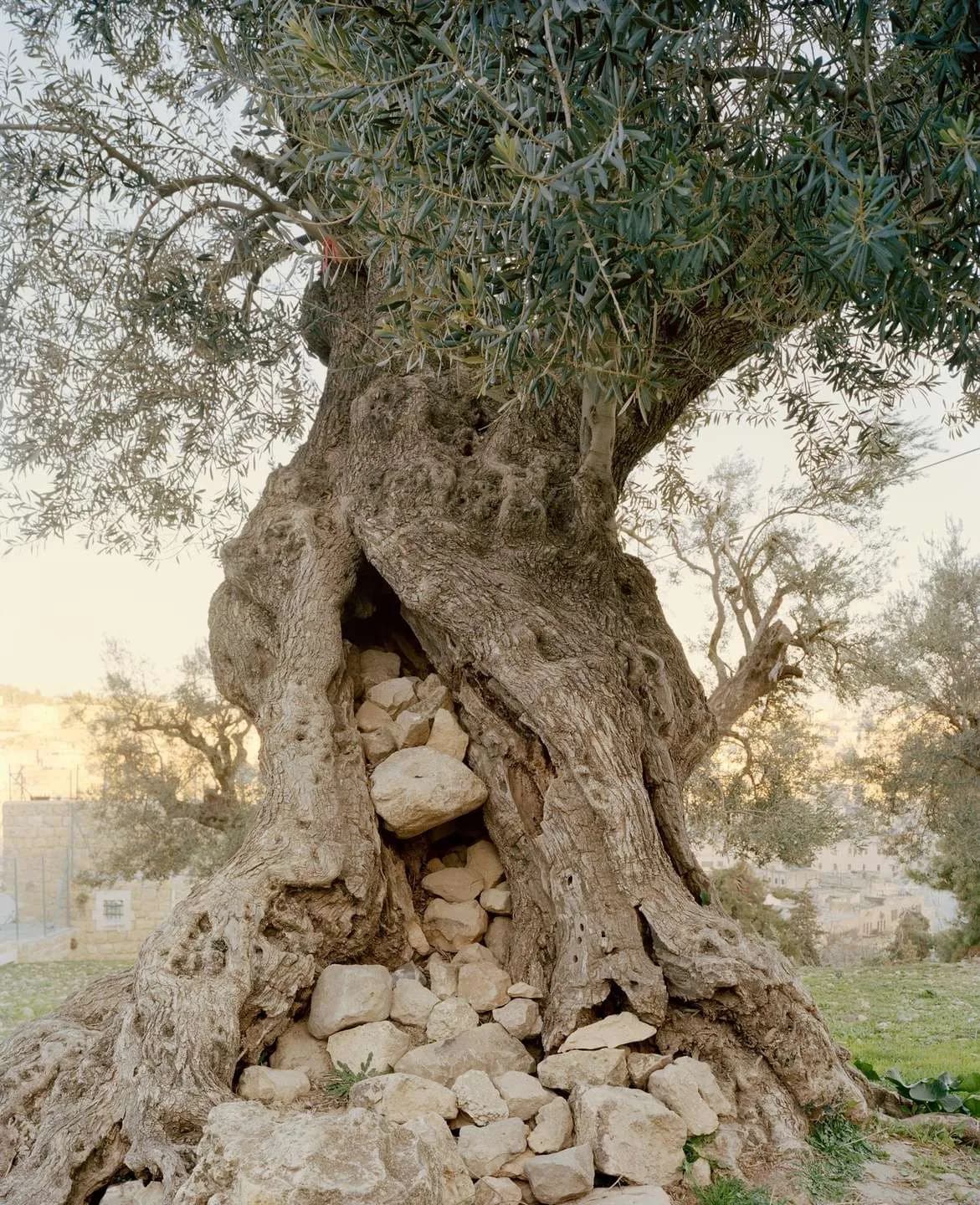 Costruire uno sguardo consapevole — immagine 8