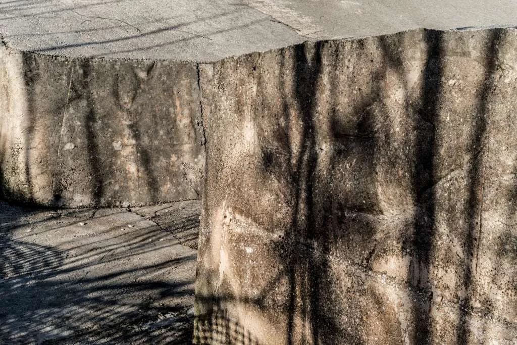 Editoria e Fotografia